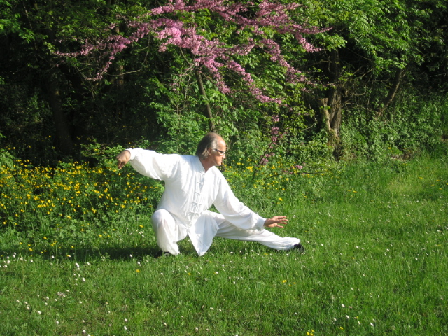 2 SEMINARI DI TAI JI AL Tempio Sanboji del Maestro Roberto Daito Galli
