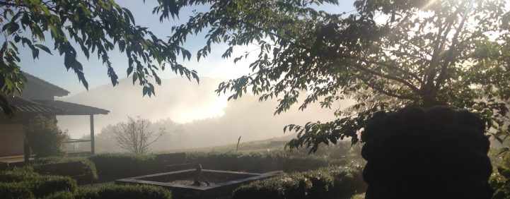 DAL 2 AL 4 NOVEMBRE: RITIRO ZEN APERTO A TUTTI