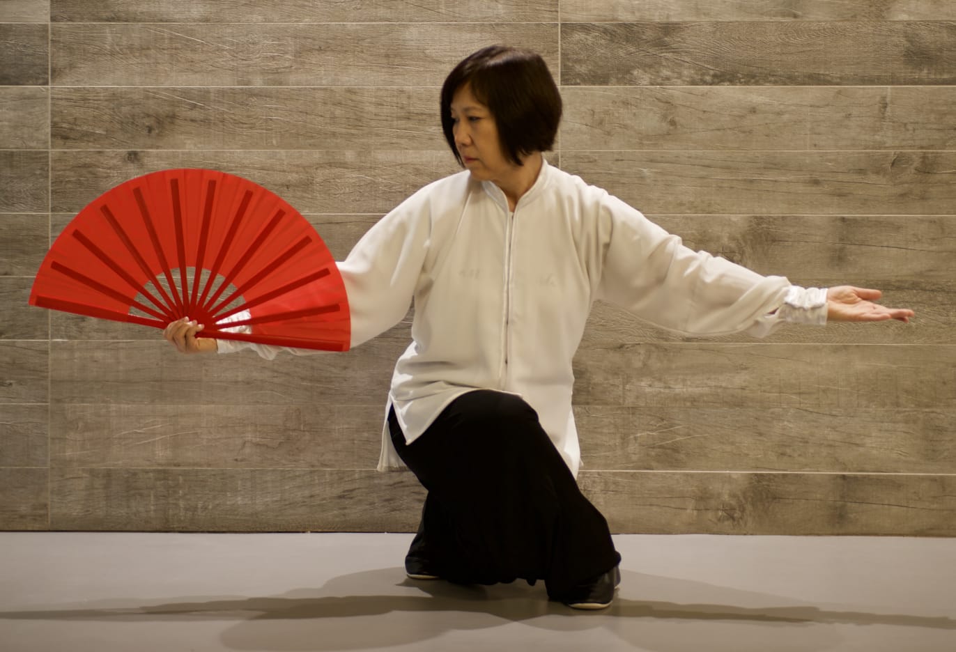 19 MAGGIO: STAGE DI TAI JI CON VENTAGLIO