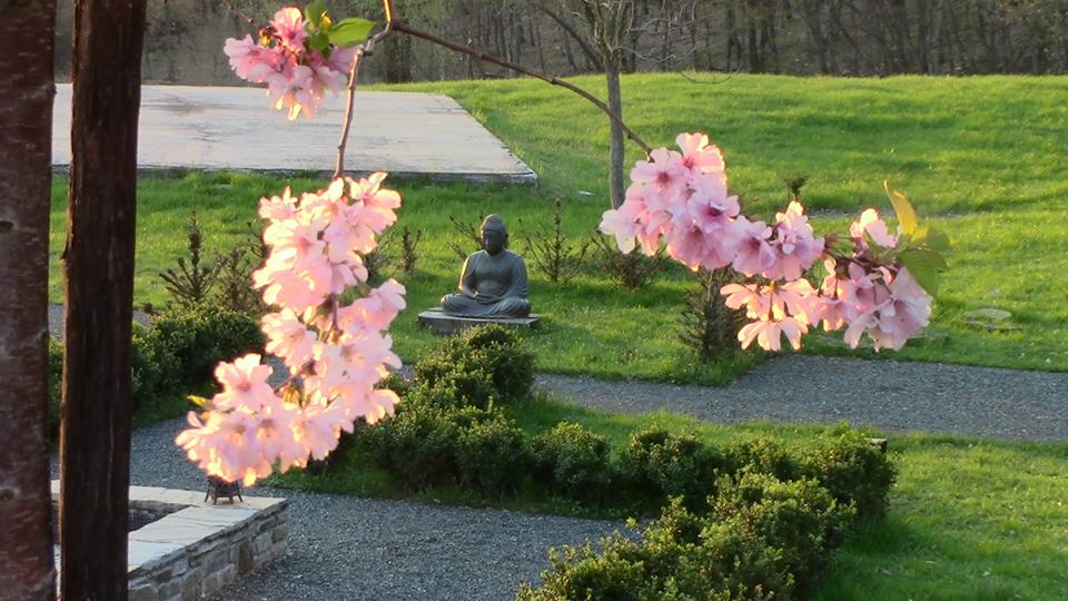 ESTATE ZEN A SANBOJI 2021