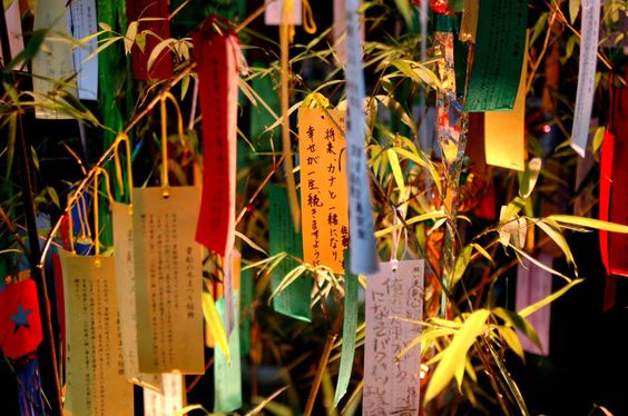 FESTA D’INVERNO