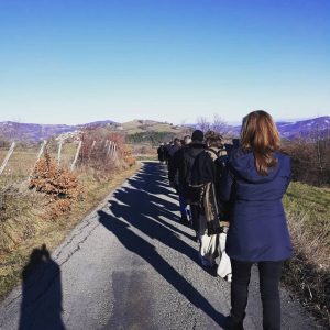 ZEN WALKING SUI COLLI EUGANEI